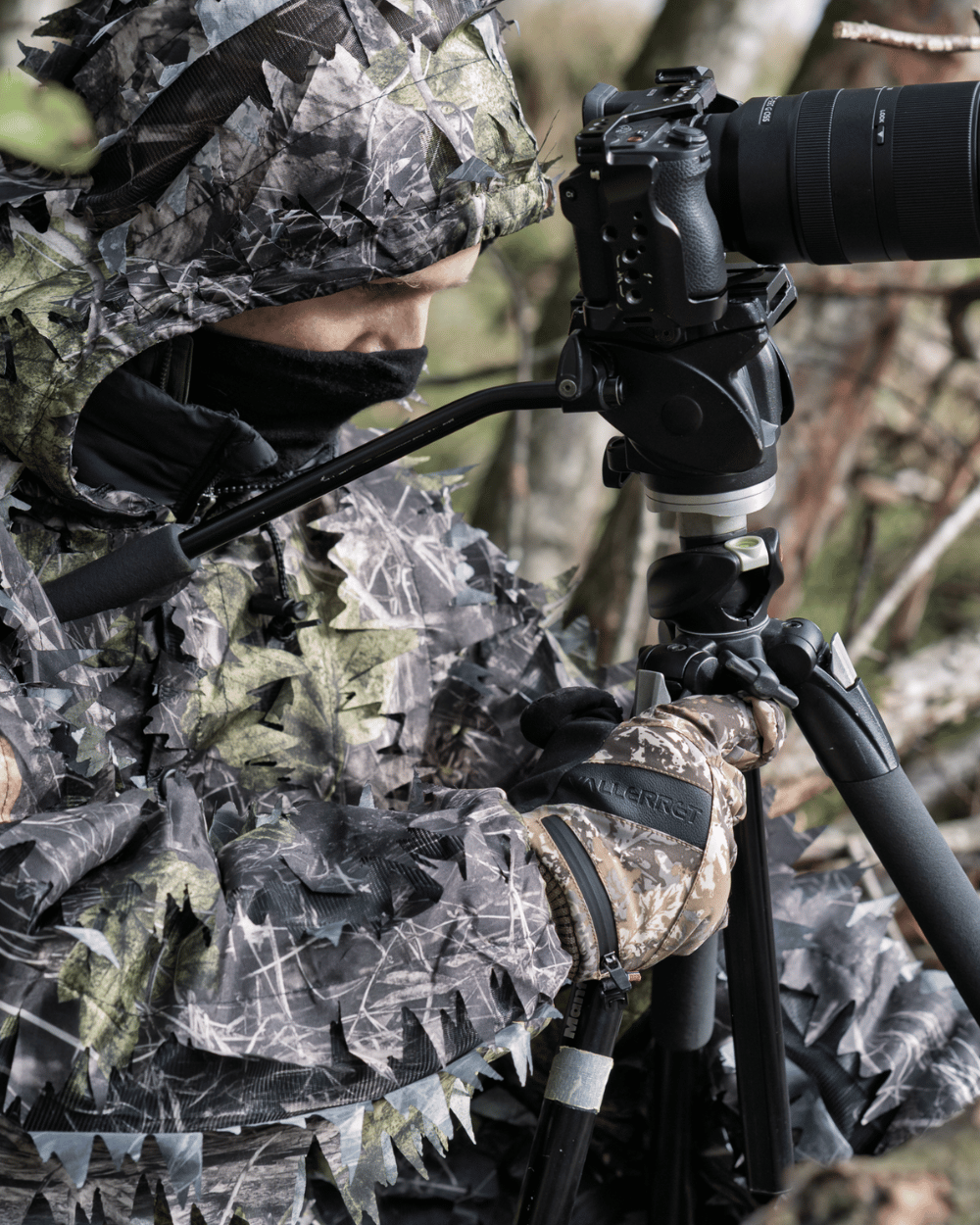 Markhof Pro V4 Wild