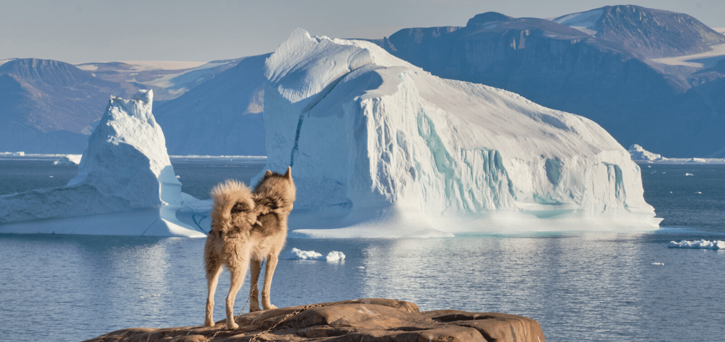 5 motivi per cui la Groenlandia dovrebbe essere la tua prossima destin -  Vallerret Photography Gloves