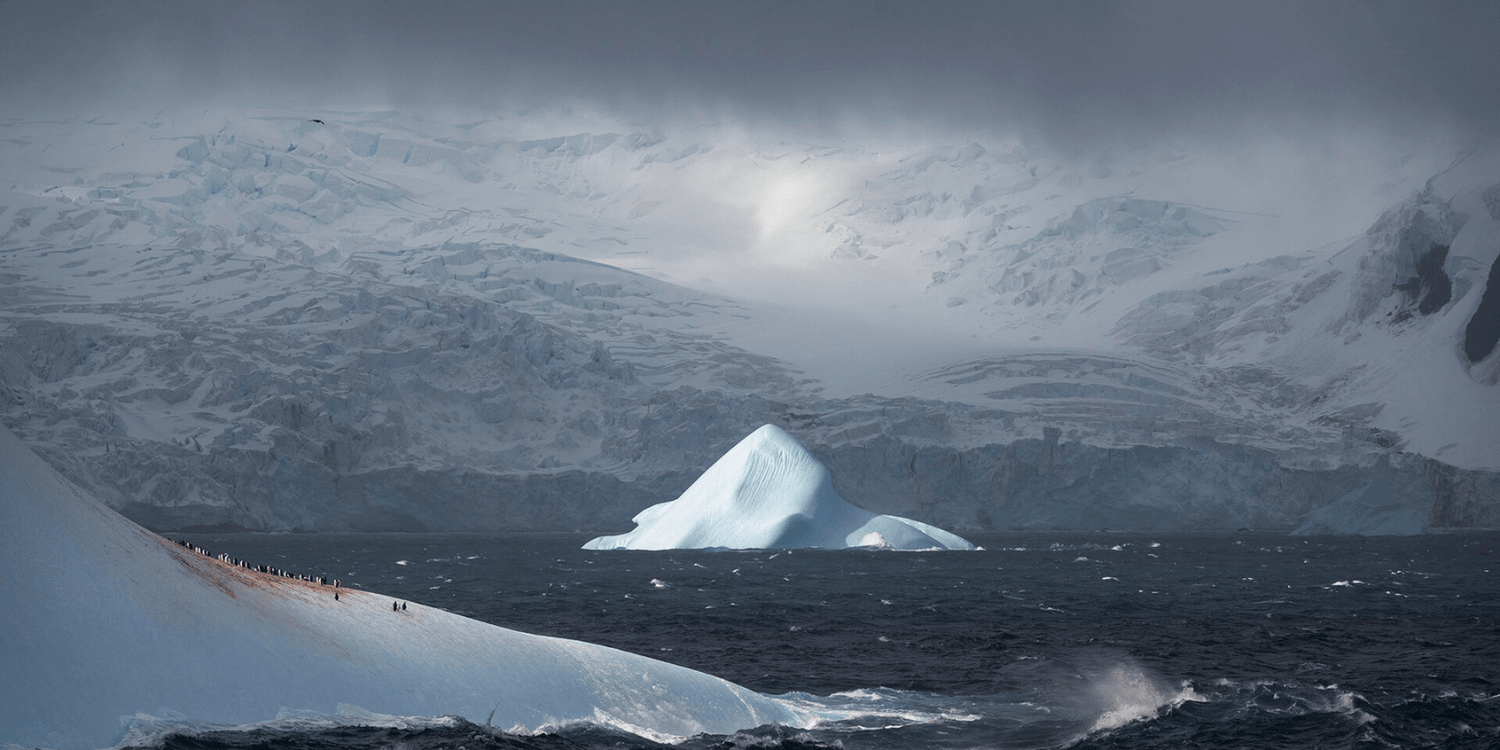 A Matter of Time: Returning to Antarctica in the time of Covid