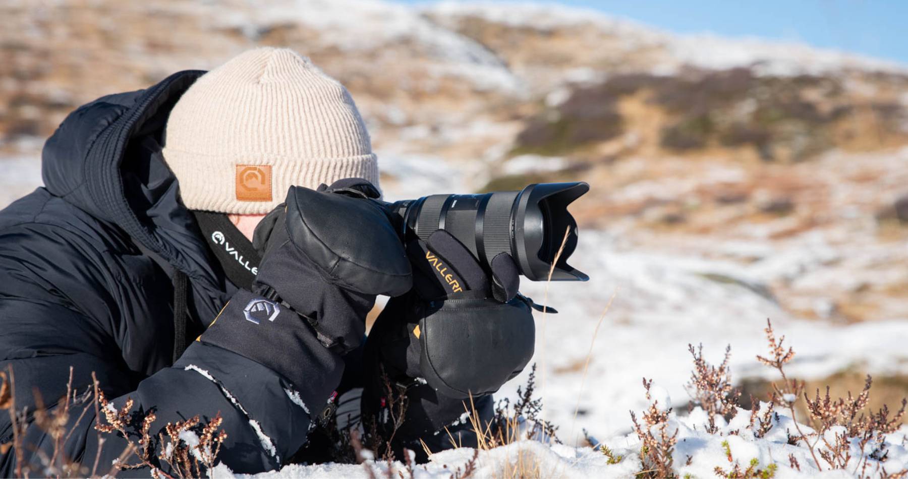 The Senja System: Winter’s New Power Couple