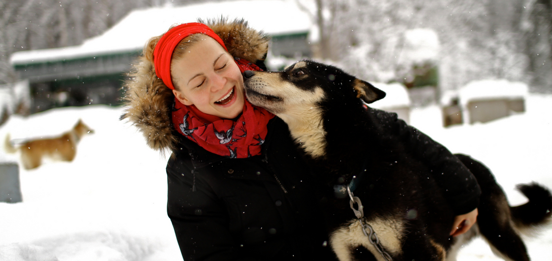 5 tips for photographing your pets in the snow