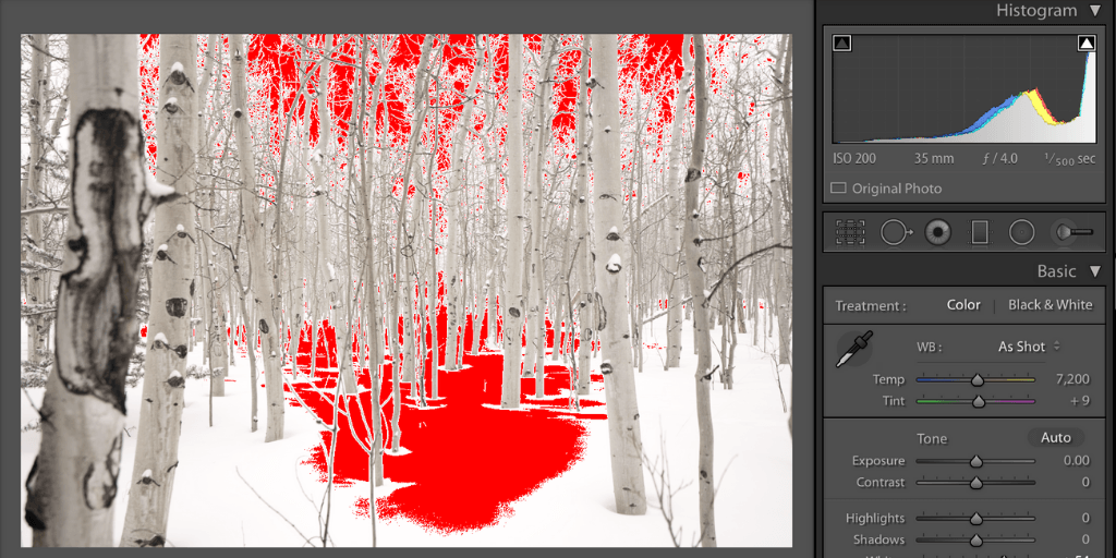 How to Read the Histogram for Winter Photography