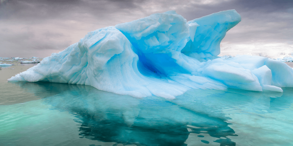 Photographer guide to Antarctica 