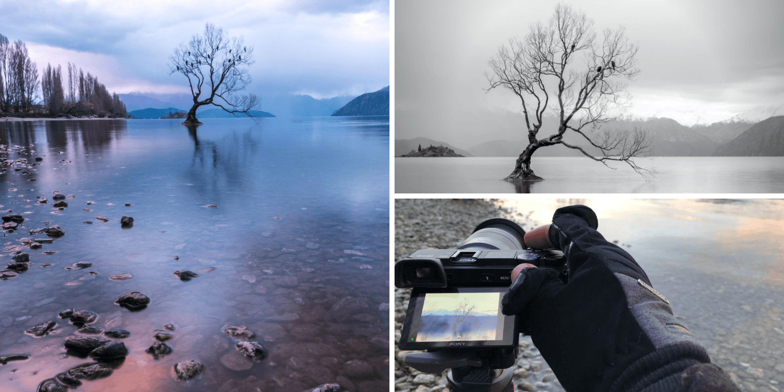 Underwater housing on a budget: photographing that wanaka tree